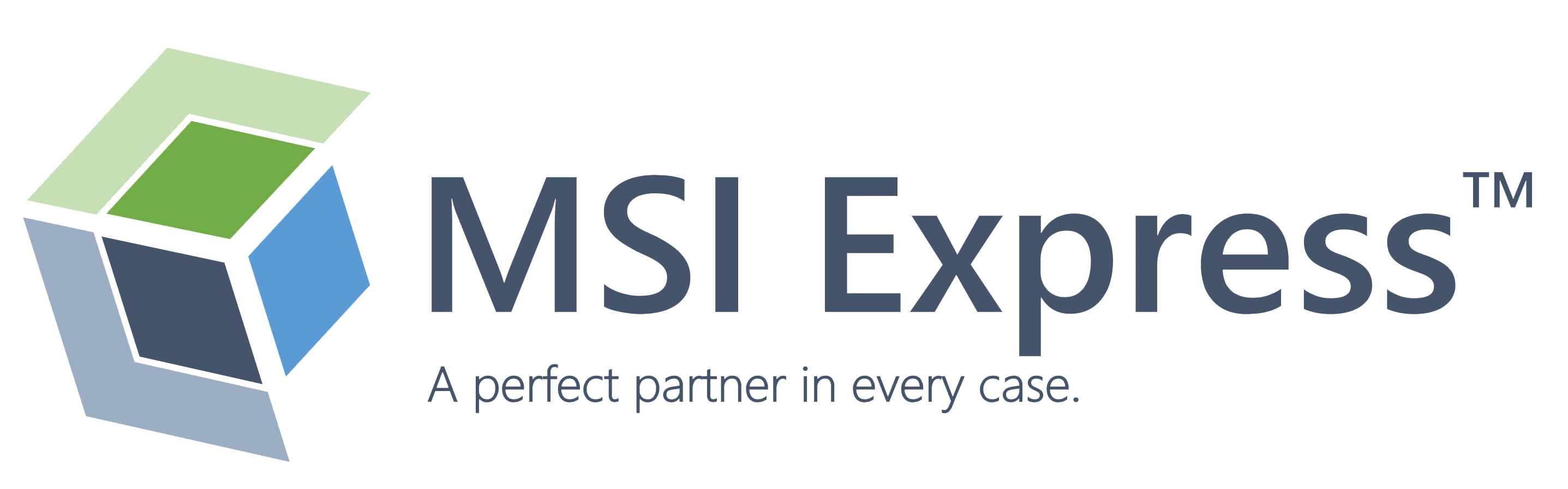 MSI Express, INC